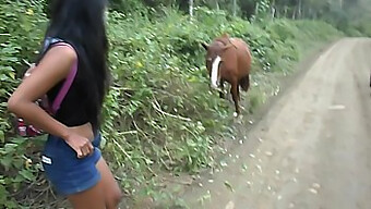 Thai-Teenagerin Reist Nach Ecuador Zum Reiten Und Creampie