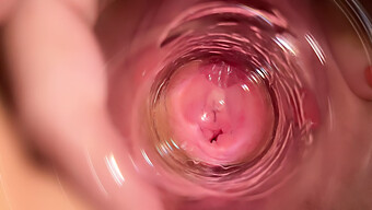 Vagina Mia Mendapat Close-Up Dengan Dildo