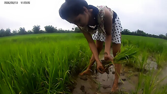 アジアの美女が公共の田んぼですべてをさらけ出す