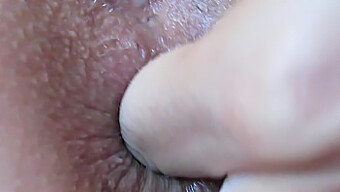 Stimulasi Anal Close-Up Yang Intens Dan Penetrasi Digital.