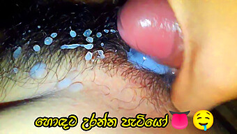 Big Cocked Sinhala Stud Takes On His Wife'S Tight Pussy In Homemade Video