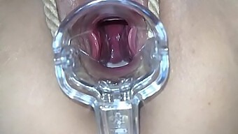 A Tantalizing Exploration Of A Slut'S Toy-Filled Pussy