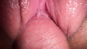 Intimate Encounter With My Brother'S Spouse, Up-Close Penetration And Ejaculation On Her Milky Vagina